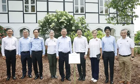 Tổng Bí thư, Chủ tịch nước Tô Lâm trồng cây tại Vườn Bách thảo Singapore