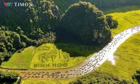 Ninh Bình xác minh thông tin nữ du khách chia sẻ chuyện "tâm linh" gây xôn xao mạng xã hội
