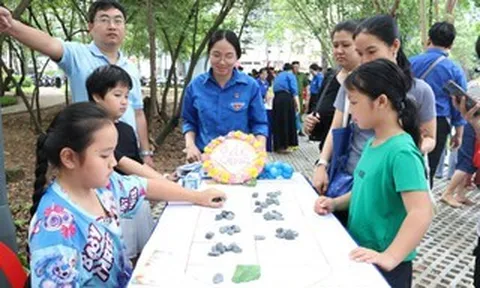 Những đứa trẻ không có mùa hè