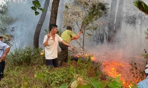 Hơn 20 ha rừng và thực bì bị cháy ở Huế, kiểm lâm căng mình ứng phó nắng nóng