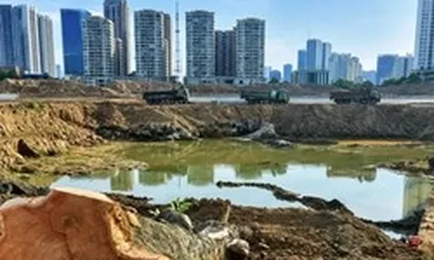 Hàng loạt cây xà cừ cổ thụ bị chặt hạ bên dự án hồ điều hòa Đồng Bông 2