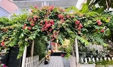 Nữ diễn viên cả đời đóng vai phản diện: U50 không muốn lấy chồng, một mình nuôi con trong biệt thự 4 tầng ở Sài thành