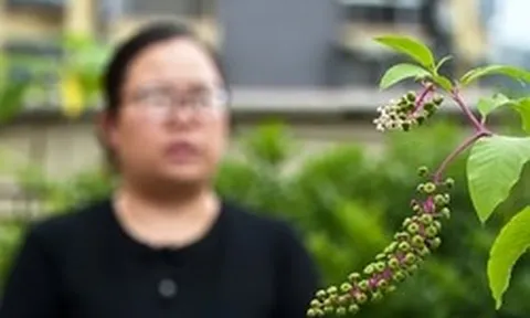 Triệt phá đường dây mua bán thông tin học sinh, hơn 790.000 hồ sơ bị lộ sau mùa thi