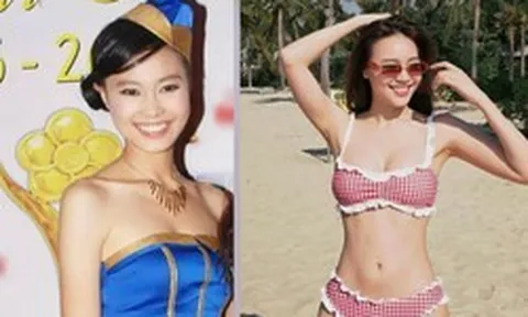 Ninh Dương Lan Ngọc đã làm gì suốt 15 năm qua?