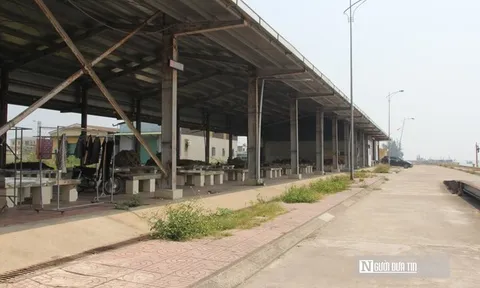 Luồng lạch bồi lắng "bóp nghẹt" cảng cá trăm tỷ