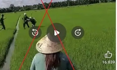 Vĩnh Long: Làm rõ vụ phun thuốc diệt cỏ vào lực lượng công an