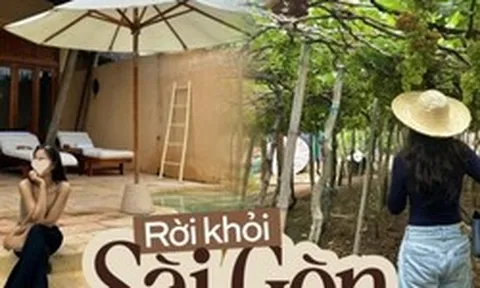 Rời Sài Gòn về Nha Trang, dù không thất nghiệp