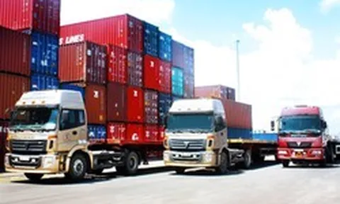 Phó Thủ tướng yêu cầu giảm giá cước vận tải khi giá xăng dầu giảm
