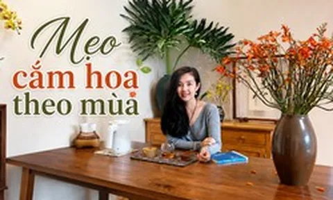 Một chiếc bình hoa có thể thay đổi cả góc nhà: Bí quyết cắm hoa theo mùa giúp không gian luôn đẹp mà không tốn nhiều chi phí