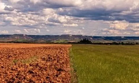 WMO nâng dự báo: Sẽ có El Nino cường độ mạnh, cảnh báo nhiệt độ toàn cầu tăng cao