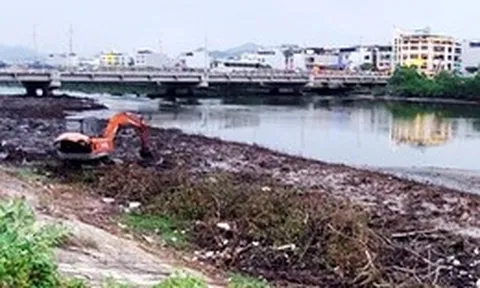 Đã chặt bỏ một phần dãy cây gây cản thoát lũ ở dự án hơn 593 tỉ đồng tại Nha Trang