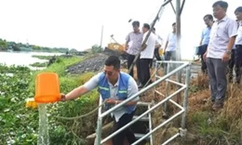 Rau màu, cây ăn trái tại Đồng Tháp chết bất thường