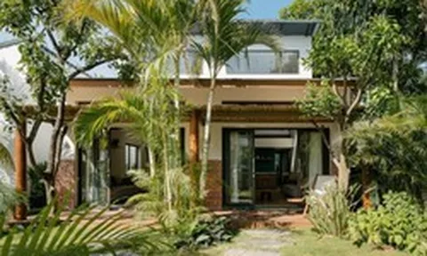 6 lý do vì sao gia đình nào cũng nên trồng cây cau trước cửa