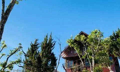 Nhà gỗ 2 tầng của MC Đại Nghĩa