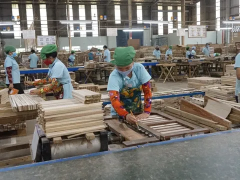 Doanh nghiệp gỗ bị "treo" cả ngàn tỉ tiền hoàn thuế