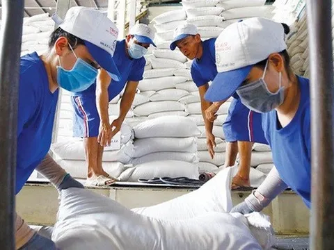 Tận dụng EVFTA mở rộng cơ hội xuất khẩu sang EU