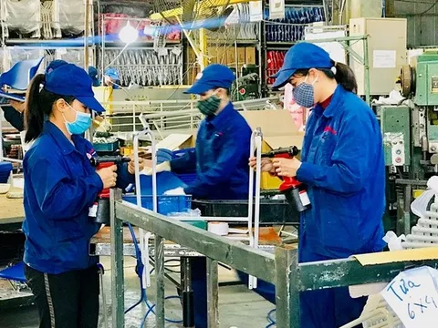 Năm 2022, số doanh nghiệp gia nhập và tái gia nhập thị trường tăng mạnh