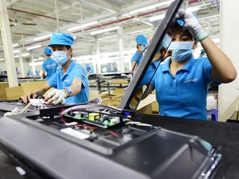 Asanzo nợ thuế gần 50 tỷ đồng, bị dừng làm thủ tục hải quan