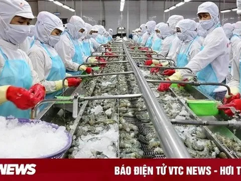 Những kỷ lục xuất khẩu ấn tượng của ngành nông nghiệp trong năm 2022