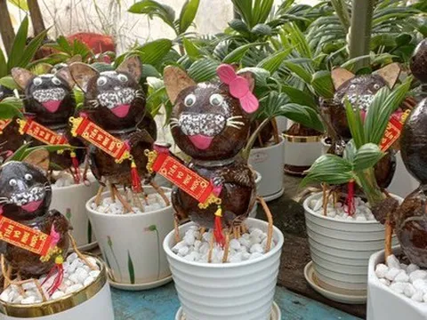Ngộ nghĩnh mèo tài lộc từ dừa bonsai 'độc nhất vô nhị'