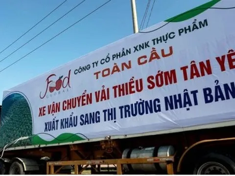 Dấu ấn xuất khẩu trên 700 tỷ USD tạo động lực mới cho thương mại 2023