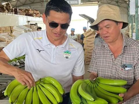 Khoản vay nợ 8.000 tỷ đồng của Hoàng Anh Gia Lai có gì?