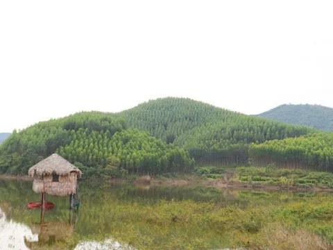 'Siêu' dự án nghĩa trang ở Bắc Giang: Nguy cơ xóa sổ hàng trăm ha rừng