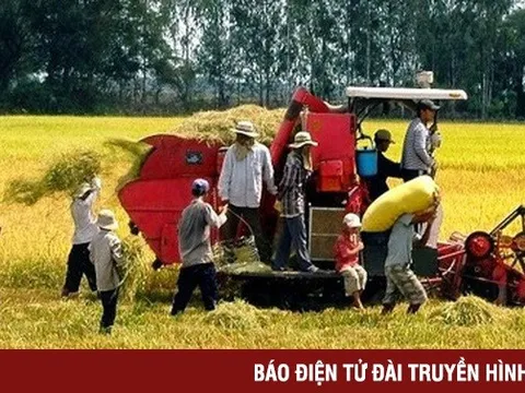 Nông nghiệp là lợi thế quốc gia