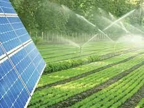 9 dự án Việt Nam được tài trợ 11,8 triệu bảng Anh