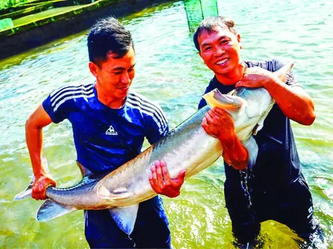 Những tỷ phú trẻ ở vùng đất khó
