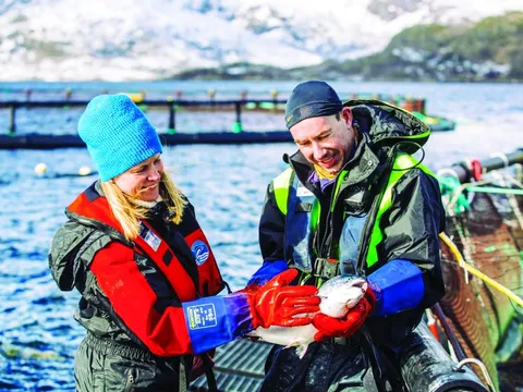 Tôi đi 'săn' cá hồi Na Uy