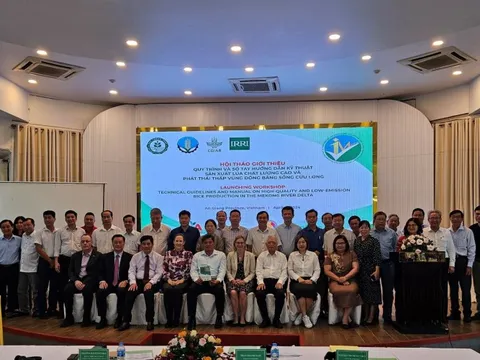 Bình Điền đồng hành cùng nông dân thực hiện đề án 1 triệu ha lúa chất lượng cao