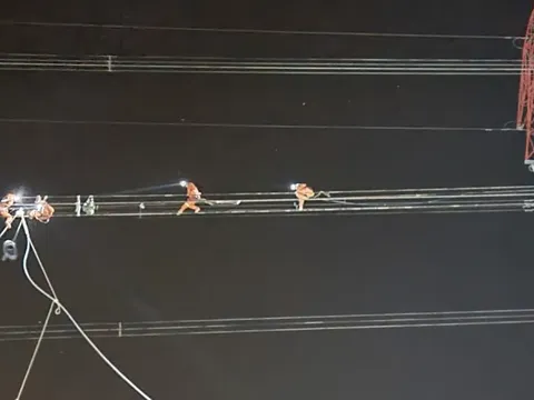 PTC3 diễn tập bảo đảm an toàn vận hành hệ thống truyền tải điện mùa khô 2024