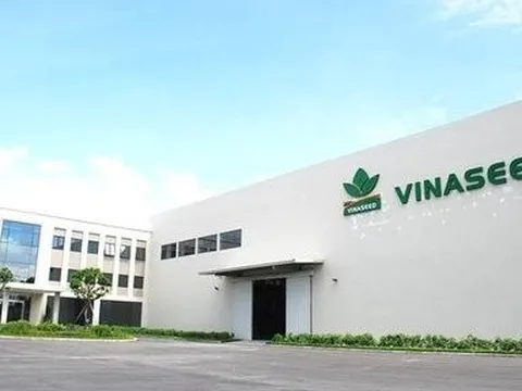 Chiều tăng trưởng tích cực tại Vinaseed ngay trong quý đầu năm 2024