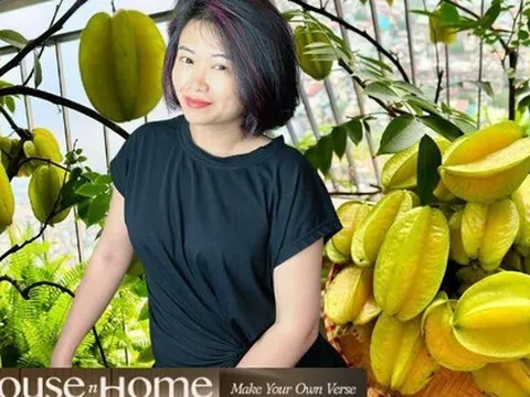 Vườn khế "trên mây" của nữ CEO hút hàng nghìn like: Chị em tấp nập vào xin vía "giỏi việc nước, đảm việc nhà"