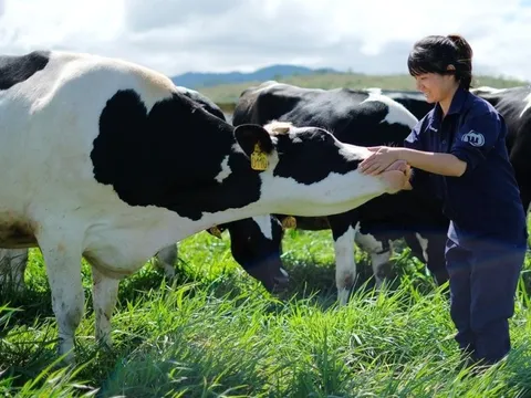 Vinamilk sắp nhận bao nhiêu tiền cổ tức từ Vilico?