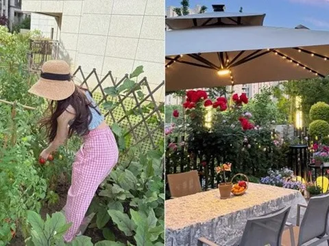 40 tuổi, cuối cùng cũng đạt được ước mơ mua nhà có sân, tôi thỏa sức trồng rau và sống rất thoải mái!