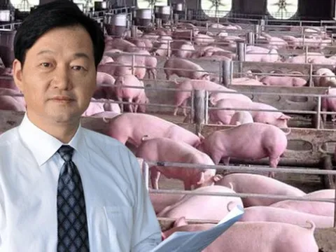 Chỉ nuôi lợn, người đàn ông vào top 200 người giàu nhất thế giới: Quá trình bỏ phố khởi nghiệp khó tin