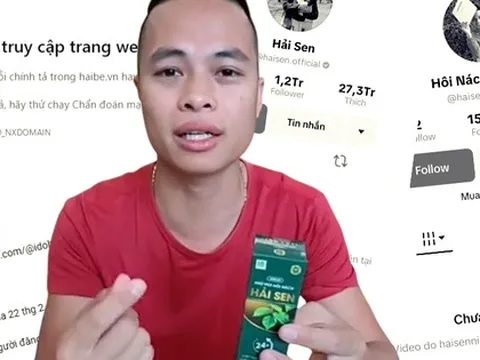 Toàn cảnh "hệ sinh thái” Hải Sen - cỗ máy in tiền trước khi sụp đổ