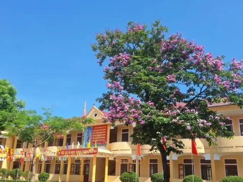 Khởi tố nam sinh lớp 11 đánh học sinh lớp 9 tử vong