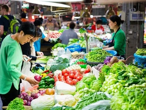 4 loại rau sạch cực ít thuốc trừ sâu, vừa bổ dưỡng còn tốt cho sức khỏe: Đi chợ yên tâm mua ngay kẻo hết