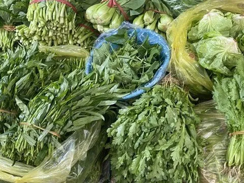 Loại rau tốt nhất thế giới, được chấm 100/100 điểm, chợ Việt bán từ 25.000 đồng/kg