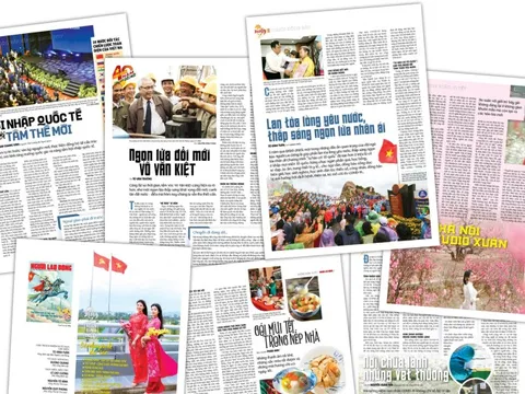 ĐÓN ĐỌC BÁO NGƯỜI LAO ĐỘNG XUÂN BÍNH NGỌ