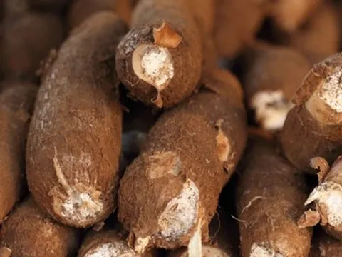 Sản vật được ví như "vàng trắng" dưới lòng đất hơn tỷ USD của Việt Nam xuất khẩu top 3 thế giới đang gặp khó