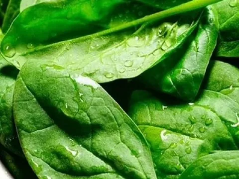 2 loại rau "tăng chiều cao" cho trẻ cực giàu canxi, nhất cái số 1 ngoài chợ bán đầy