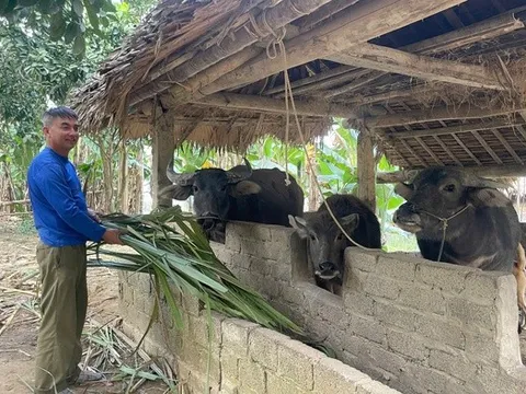 Khi chính sách đến vùng khó – Kỳ 2: Có mái nhà, nhưng con đường thoát nghèo vẫn gian nan