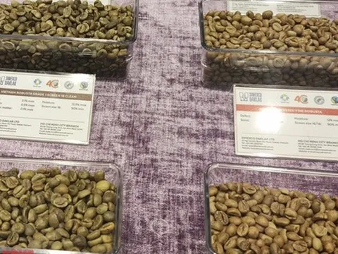 Giá cà phê hôm nay 31-1: Giảm đồng loạt, xuất khẩu khả quan