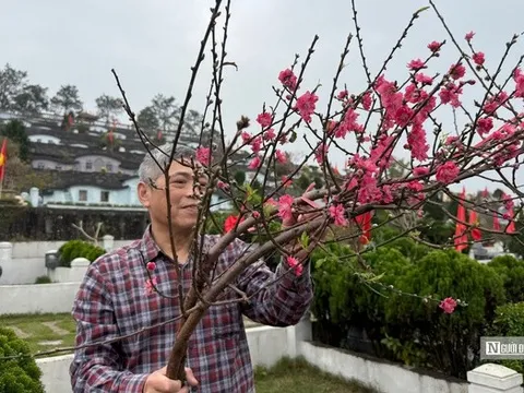 Vượt trăm cây số để "mời các cụ" về ăn Tết