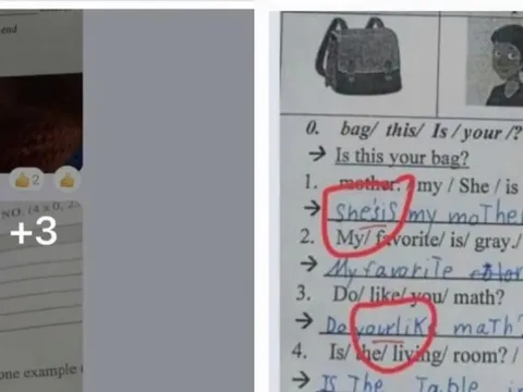 Tin mới vụ giáo viên tiếng Anh sửa nhiều bài thi ở Gia Lai