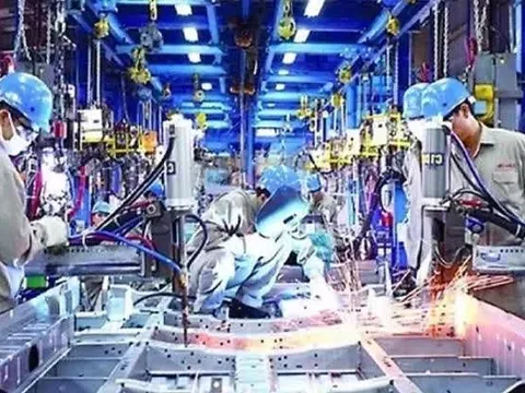 Hơn 54.000 doanh nghiệp gia nhập và tái gia nhập thị trường tháng 1